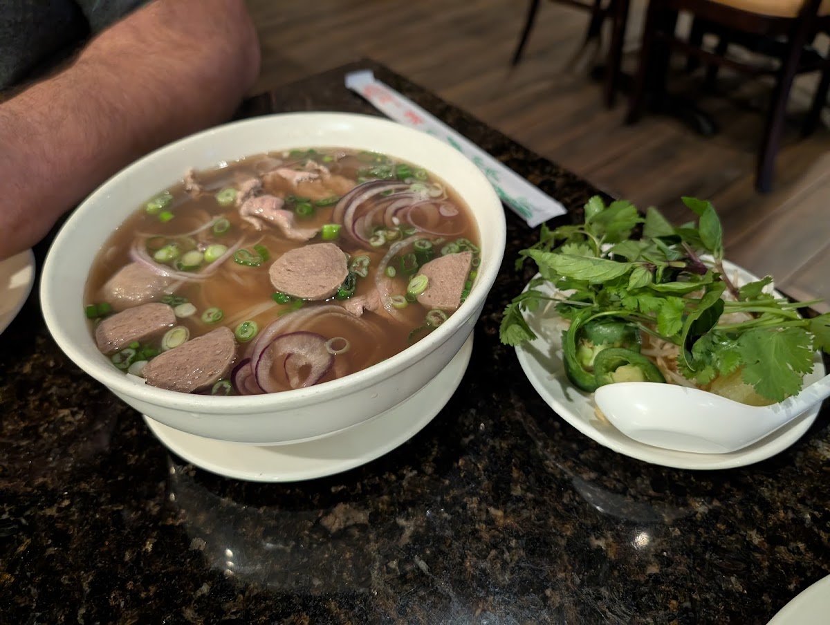 Fabulous Pho Vietnamese Restaurant-4